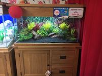 Aqua Oak Cabinet and Tank