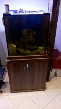 salt water aquarium for sale