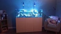 Ea Reef 1500S Reef Ready Tank reduced