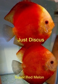 Buy 5 get 1 free at JUST DISCUS from ONLY £20 and over 5,000 top quality Discus to choose from and the biggest selection in the U.K. Cheapest prices guaranteed.