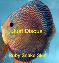 Buy 5 get 1 free at JUST DISCUS from ONLY £20 and over 5,000 top quality Discus to choose from and the biggest selection in the U.K. Cheapest prices guaranteed.