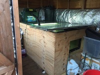 6x4x2 Tropical Pond Setup and stock for sale