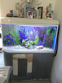 Manchester M45 Feb 2018 Update WEISNICK AQUARIUMS Great chance to get a bargain. Over 60 pre-owned, tanks plus loads of accessories. From £3 upwards. Viewings welcome Manchester M45