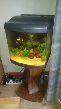 Manchester M45 Feb 2018 Update WEISNICK AQUARIUMS Great chance to get a bargain. Over 60 pre-owned, tanks plus loads of accessories. From £3 upwards. Viewings welcome Manchester M45