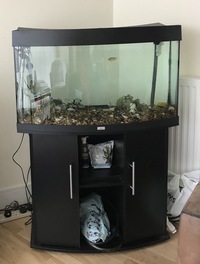 Freshwater Aquarium Fish tank