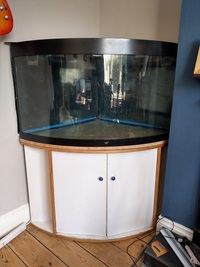 Juwel Trigon 350 corner tank, Cabinet Eheim filter, tubes, 2 heaters etc