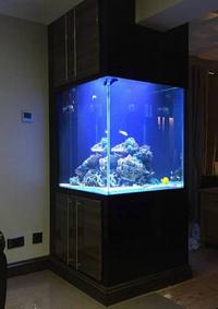 Aquarium - Fish tank - Cabinet - Steel stands - Pelmets - Manufacturer - Brand new - Custom made - Glass tanks