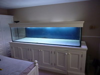 fish tank for sale