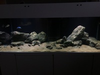 6ft optiwhite with sump