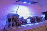 DT11 Area (fish now FREE ) Aquarium and top end equipment - complete kit VORTECH / RAZOR