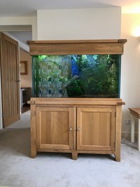 Oak Tank (340lrs) - Complete set up. Systemised Aquarium