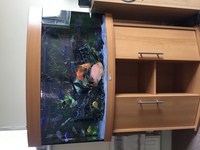 Vision 180 for sale