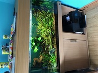 4ft Aquarium including fish, filters.... £300