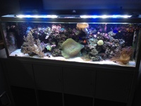 Fish tank £40