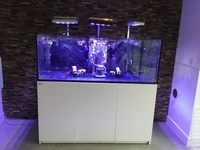 Red Sea reefer 525xl,nyos skimmer,Aqua illumination vega lights, ecotech mp40 vortech