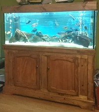 Complete Aquarium setup