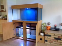 Now sold .ND Aquatics 4 feet tank with sump,pelmet and cabinet