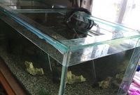 5 foot xlarge aquarium