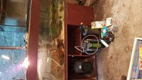 4ft Seabray tank, filters, with Turtles