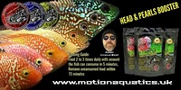 Kokzilla flowerhorn and big cichlid food