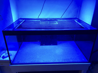 Marine/ Fresh Water Aquarium Fish tank with Weir and sump by ND Aquatics