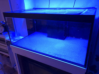 Marine/ Fresh Water Aquarium Fish tank with Weir and sump by ND Aquatics