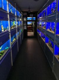 Fully Revised Stock List - The Aquatic Store Bristol 09-05-2018
