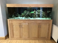 Custom made tank for sale - 6ft x 2 ft x 2ft - Bespoke Joinery - Ash Hardwood