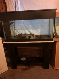 Steal of a Deal absolute bargain Tropical Fish aquarium 225 ltr tank and bespoke stand for sale with fish