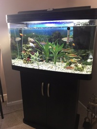 3x tanks for sale all for £280.00