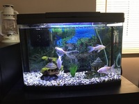 3x tanks for sale all for £280.00