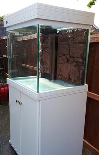 Betta Marine Aquarium & sump