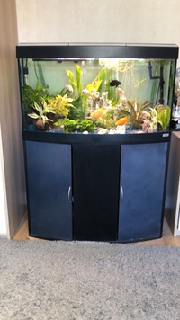 3ft bow fish tank