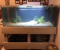 5x2x2.5 tank