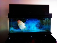 130x44x130cm pure wood handmade tank