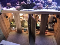 Complete 400 ltr Marine Reef Aquarium for sale