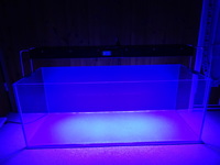 4ft Rimless/Braceless custom built aquarium