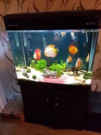 235ltr ,Aquarium complete