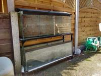 REDUCED 2 Four Foot Tanks On Steel Stand £95.00