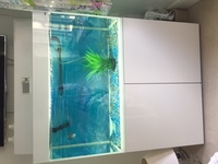 Aquael Glossy 100 Aquarium And Cabinet Set in High White Gloss, 215 litres