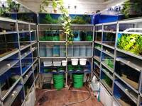 Fishroom tanks..