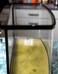 NOW SOLD---80 Litres(18 Gallons) Bow Fronted 63cm Aquarium with Hood--Leeds--ono £35 or make me an offer(must go anyway)