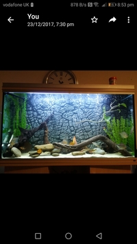 4 ft fish tank with stand for sale