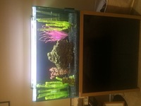 3ft clear seal open top fish tank set up £150