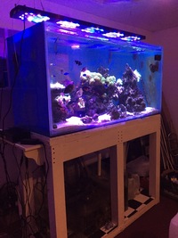 Marine fish tank breakdowns