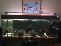 4FT JEWEL AQUARIUM WITH CABINET AND LED LIGHT.  300 pounds o.n.o