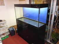 Aquael Glossy 120 Aquarium and Cabinet set in Black Gloss 260 Litres for Sale