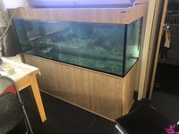 600L 6x2x2 Aquarium with oak effect stand and hood.