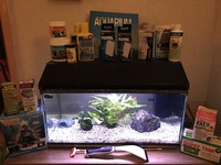 Rio aquarium for sale with fish and all kinds of accessories