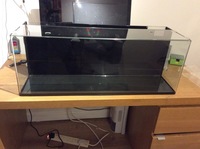 Complete marine tank 24g - £300